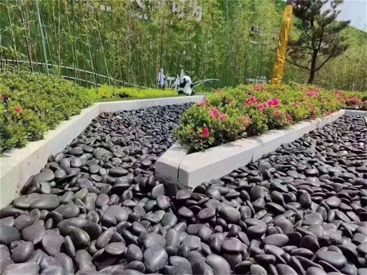black pebbles