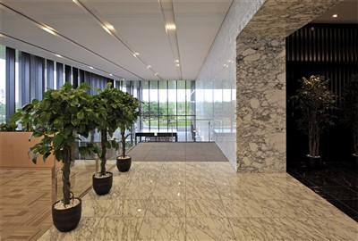 高級住宅プロジェクト用の大理石タイル